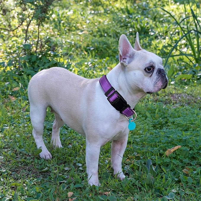 Ladoogo Reflective Dog Collar Padded with Soft Neoprene Breathable Adjustable Nylon Dog Collars for Small Medium Large Dogs (X-Small (Pack of 1), Purple Collar+Leash)