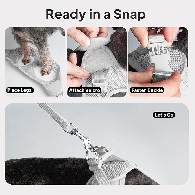 PetiFine Step in Small Dog Harness and Leash Set, Breathable All Weather Air Mesh Reflective Escape Proof, Step-in Velcro Vest Harnesses for Puppy(S, Grey)