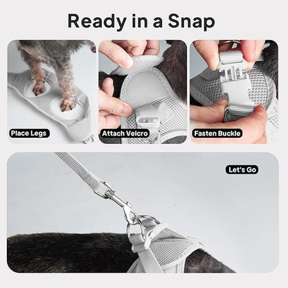 PetiFine Step in Small Dog Harness and Leash Set, Breathable All Weather Air Mesh Reflective Escape Proof, Step-in Velcro Vest Harnesses for Puppy(S, Grey)