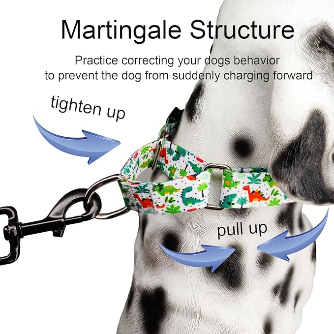 Martingale Dog Collars with Buckle No Pull Training Dog Collar for Large Dogs (Green Dinosaur, Large)