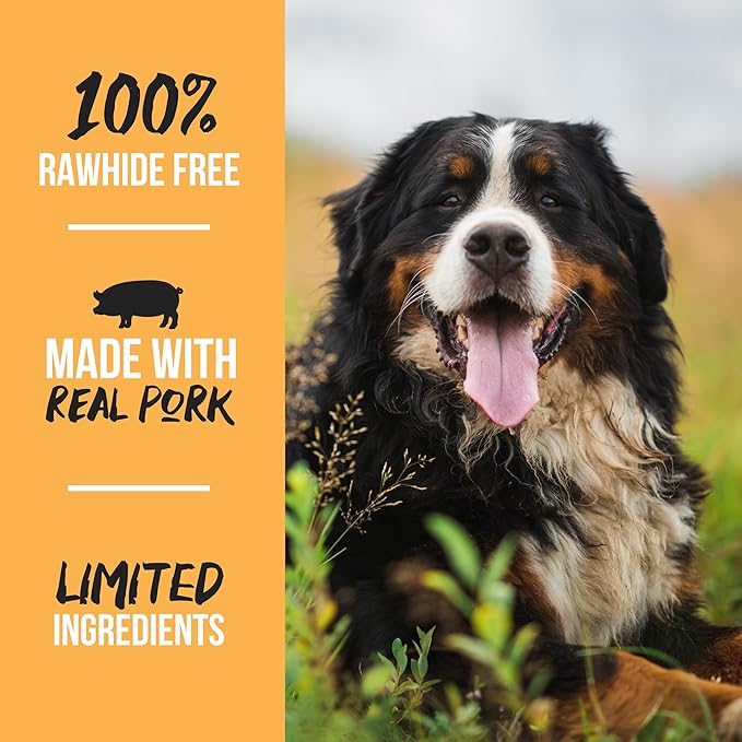 Grillerz Bronto Bone, 1 Count, Rawhide Free, All Natural Treat for All Breeds, High Protein, Long Lasting, Easy to Digest, For Adult Life Stage, Dog Chew for Healthy Teeth