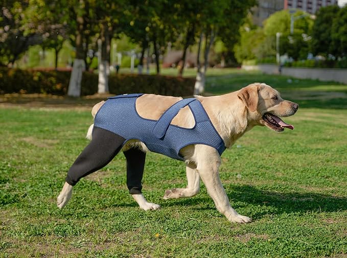Dog Recovery Sleeve, Dog Recovery Suit, Abrasion Resistant Sleeve Front Leg, Washable 3mm Thick and Breathable, Pet Wounds Prevent Licking, Bite, Being Wet (XLarge, Rear Both Leg)