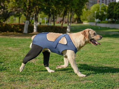 Dog Recovery Sleeve, Dog Recovery Suit, Abrasion Resistant Sleeve Front Leg, Washable 3mm Thick and Breathable, Pet Wounds Prevent Licking, Bite, Being Wet (XLarge, Rear Both Leg)