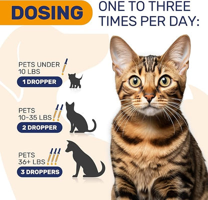 Dog Allergy Relief for Puppies & Adult Ones – Cat & Dog Itching Skin Relief Helps with Irritation & Supports General Well-Being – Cat Itchy Skin Treatment with Organic Composition – 2 Oz Bottle