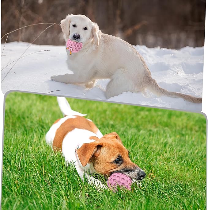 Tough Dog Chew Toys for Aggressive Chewers, Indestructible Dog Balls for Aggressive Chewers, Squeaky Balls for Dogs, Squeaky Toys for Large Dogs, Funny Heavy Duty Ball