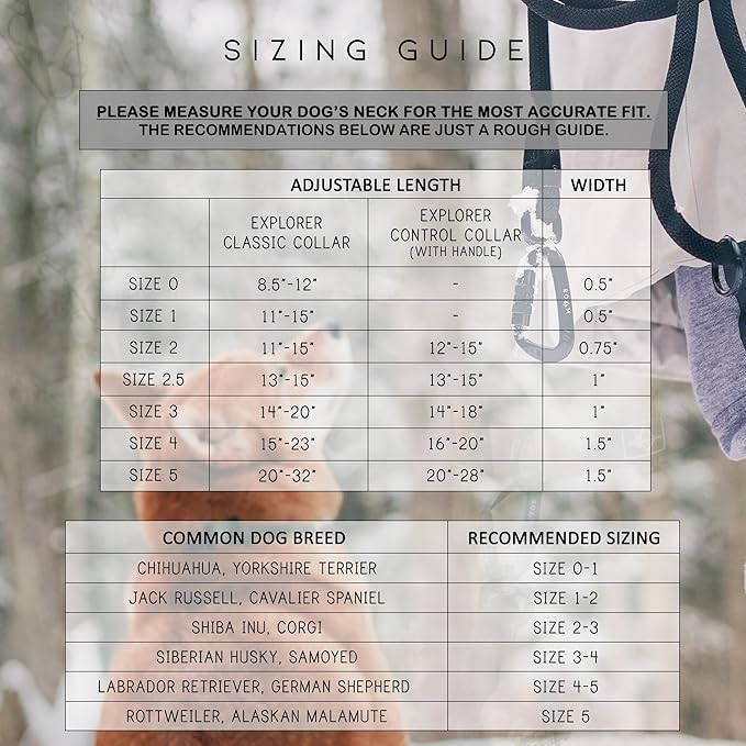 Made to ROAM Premium Dog Collar - Adjustable Heavy Duty Nylon Collar with Quick-Release Metal Buckle (Maine Marina, Classic Size 2)