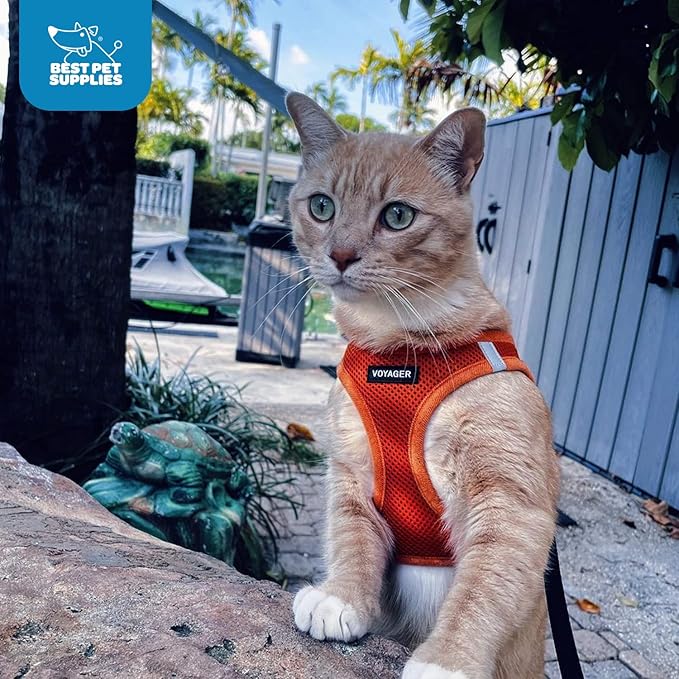 Best Pet Supplies Voyager Step-in Air Harness - All Weather Mesh, Reflective, No Pull Harness for Dogs, Cats - Secure with Hook & Loop Fastener, Buckle, Double D-Rings - Orange, XS