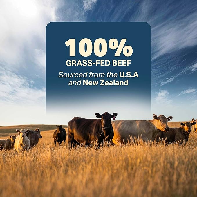 FOUR LEAF ROVER Beef Heart Dog Treats - Grass Finished New Zealand Beef Heart - Raw Freeze Dried Single Ingredient, No Additives - Made in USA - 4 Oz Bag