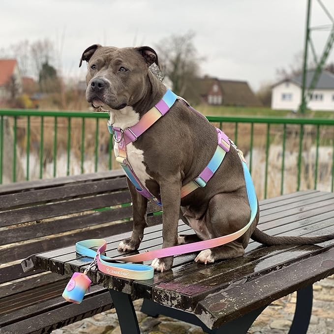 Spark Paws Premium Dog Leash & Poop Bag Set - Heavy-Duty Alloy Hook for Strong Pulling Breeds - Comfortable, Durable & Secure - Pastel Icing