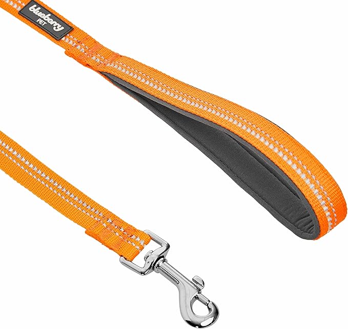 Blueberry Pet 3M Reflective Pastel Color Dog Leash with Soft & Comfortable Handle, 4 ft x 1", Orange Peel, Large, Leashes for Dogs