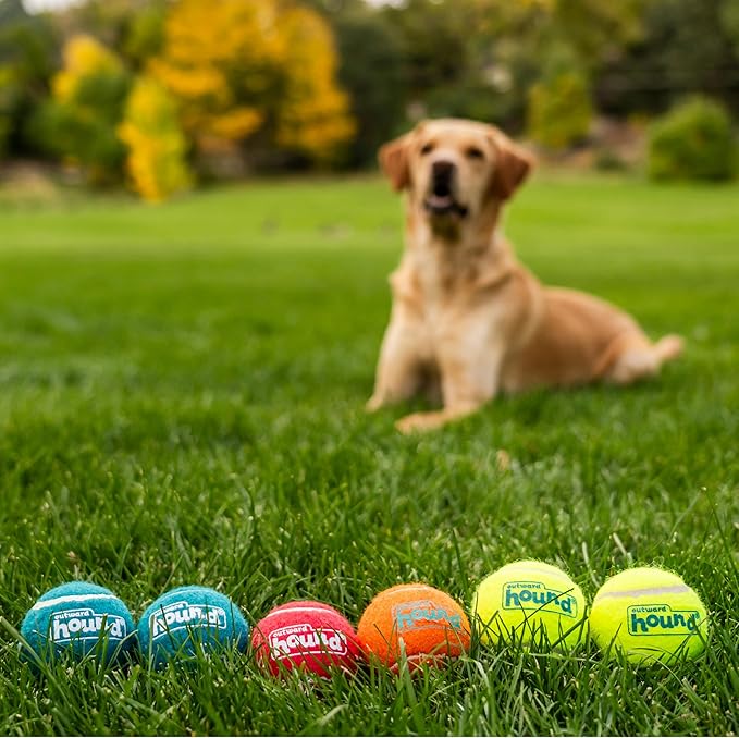 Outward Hound Squeaker Ballz – Squeaky Tennis Balls for Dogs Under 50 lbs, Interactive Dog Toy for Fetch & Training, Medium (2.5"), 6‑Pack