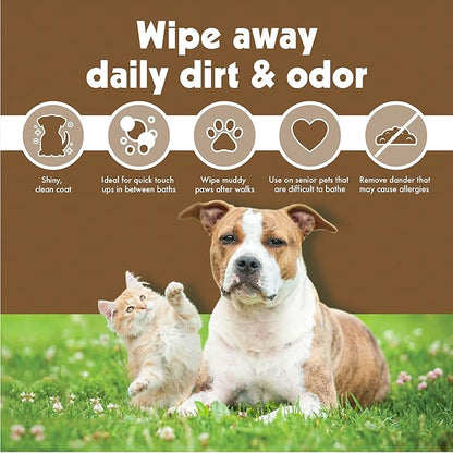 Petkin Pet Wipes for Dogs and Cats, 200 Wipes (Large) – Oatmeal Pet Wipes for Dogs and Cats – Soothes Itchy Dry Skin and Cleans Ears, Face, Butt, Body and Eye Area – 2 Packs of 100 Wipes