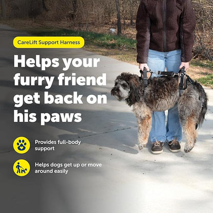 PetSafe CareLift Support Harness - Lifting Aid for Senior or Injured Dogs - Breathable Mesh - Machine Washable - Post-Surgery Dog Support - Medium