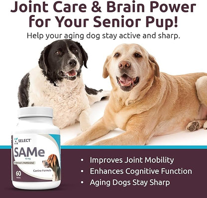 K9 Select SAM-E for Dogs – Dog Liver Supplement for Small and Medium Adult Dogs – Canine Liver Health & Detox – Hepato Support, Multivitamin for Cell-Growth, 60 Tablets