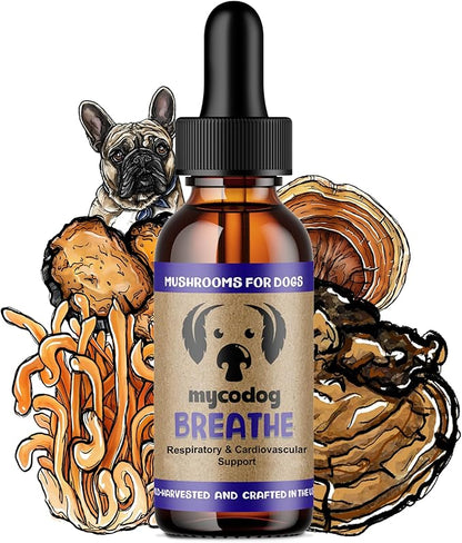 MycoDog Breathe Dog Allergy Relief Drops 2 fl. oz.: Mushroom Extracts & Ashwagandha Tincture | Respiratory Support Itch Relief for Dogs | Chaga & Reishi Mushroom Blend
