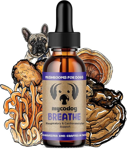 MycoDog Breathe Dog Allergy Relief Drops 2 fl. oz.: Mushroom Extracts & Ashwagandha Tincture | Respiratory Support Itch Relief for Dogs | Chaga & Reishi Mushroom Blend