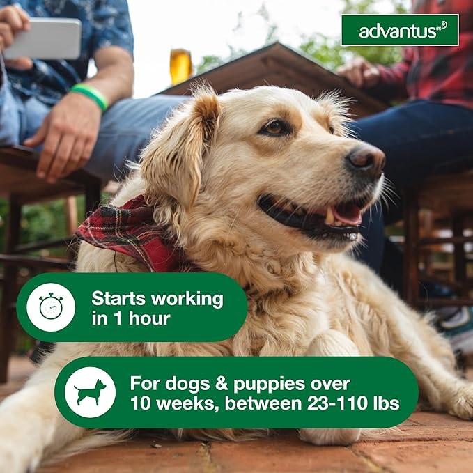 Advantus Dog Fast Acting Oral Flea Treatment Soft Chewable 23 - 110 lbs. | 30 ct.