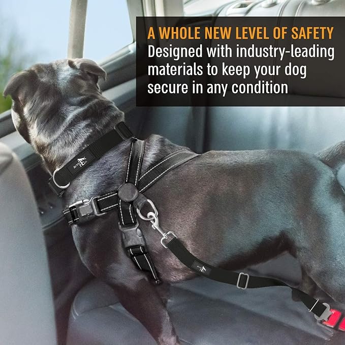Active Pets Black Car Seat Belt for Dogs 2 Pack, Attaches to Harness & Collar, Adjusts 18" - 24" Safety & Comfort Travel Restraint System Fits Small - Large Pups, Seatbelt Pet Supplies & Accessories