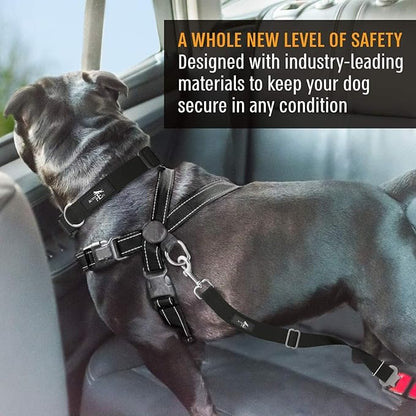Active Pets Black Car Seat Belt for Dogs 2 Pack, Attaches to Harness & Collar, Adjusts 18" - 24" Safety & Comfort Travel Restraint System Fits Small - Large Pups, Seatbelt Pet Supplies & Accessories