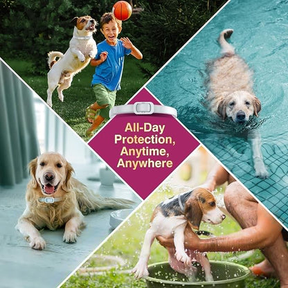 Natural Flea and Tick Collar for Dogs - 4 Pack, Waterproof, Adjustable Size for All Dog