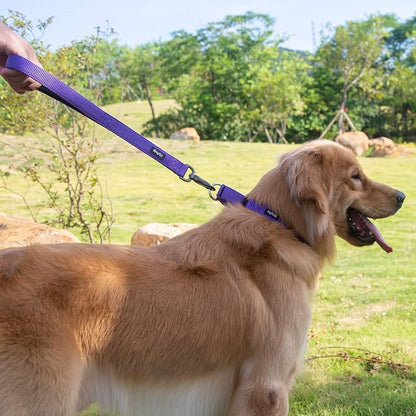 Hyhug Martingale Collar for Dogs Small Purple |Escape - Proof Heavy Duty Nylon Durable No Buckle, Ideal for Training & Daily Walks