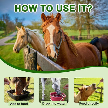 Dewormer for Goat, Chickens, Horses, Sheep, Poultry & More, Fenbendazole for All Wormers, Tapeworms, Roundworms & Hookworms, 100 ml