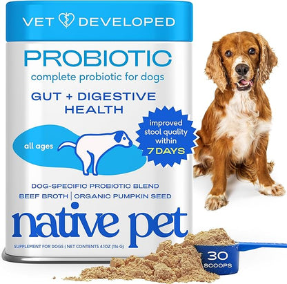 Native Pet Probiotics for Dogs – Dog Probiotic Powder for Gut & Digestive Health, Vet-Formulated 6B CFUs Dog-Specific Probiotic Strains, Supports Stool Quality & Diet Transitions – 30 Scoops