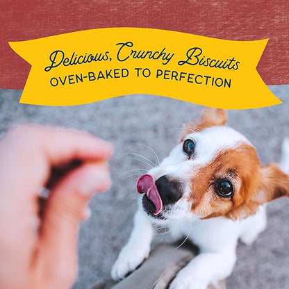Natural Balance Limited Ingredient Rewards Crunchy Biscuits, Bite-Size Grain-Free Dog Treats for Small-Breed Adult Dogs, Made with Real Bison, 8 Ounce (Pack of 2)