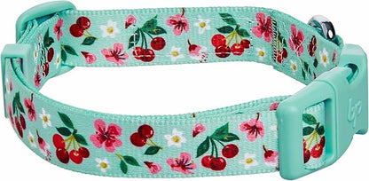 Cherry Garden Dog Collar with Dainty Flowers