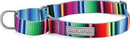 Lucky Love Dog Martingale Dog Collar - Adjustable, No-Slip, Durable, & Soft Webbing Collar for Male and Female Dogs Ideal for Training & Walking - Nacho, Medium