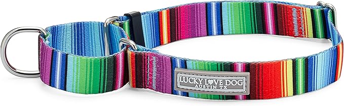 Lucky Love Dog Martingale Dog Collar - Adjustable, No-Slip, Durable, & Soft Webbing Collar for Male and Female Dogs Ideal for Training & Walking - Nacho, Small