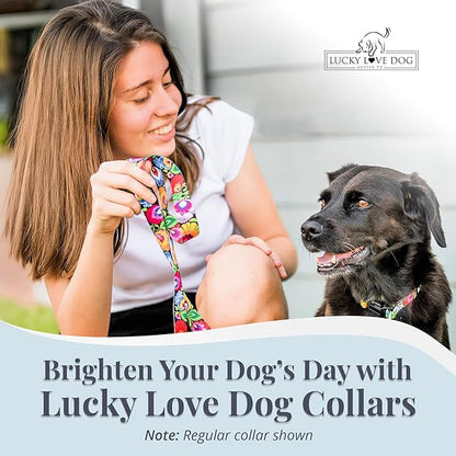 Lucky Love Dog Martingale Collar and Leash Set, Premium No Slip Collar and Leash Set, Great for Whippets, Greyhounds, and More (Blackbird, Small - Combo)