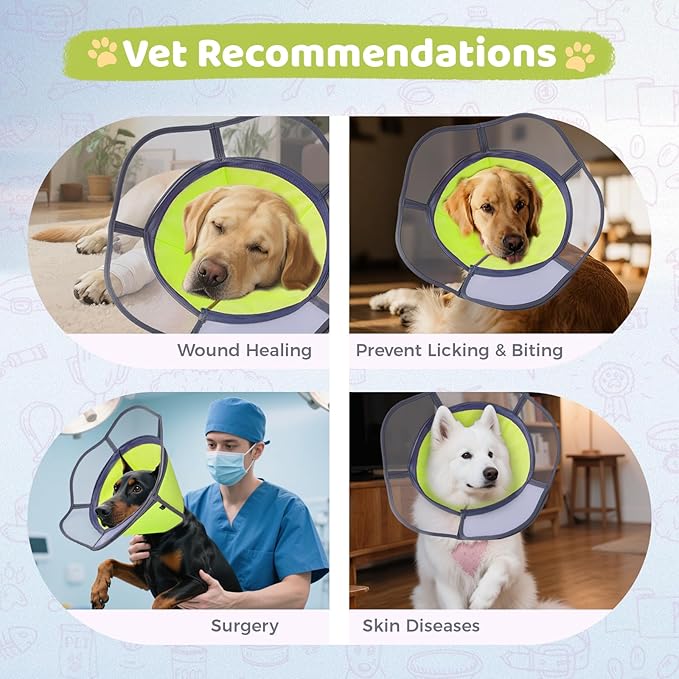 Soft Dog Cone Collar After Surgery Recovery,Adjustable E-Collar with Removable Shield,Lightweight,Breathable Anti-Licking Protective Cone for Large,Medium,Small Pets (Neon Green, M (Neck:12''-15''))