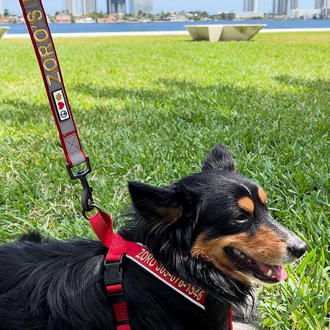 Pawtitas Personalized Blue Dog Leash 6 ft Custom ID Lead for Dogs & Puppies Reflective Comfortable Padded Handle Embroidered Name & Phone Number