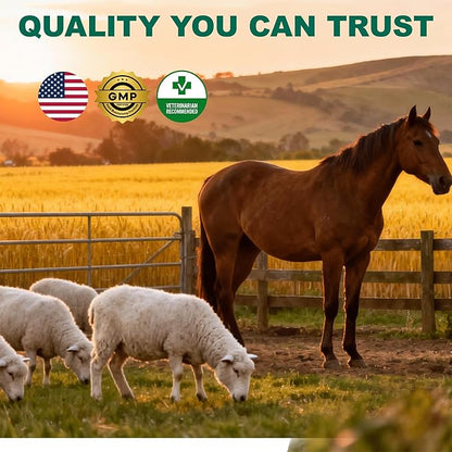 Dewormer for Goat, Sheep, Poultry & More - Liquid Fenbendazole Dewormer for All Wormers, Tapeworms, Roundworms, Hookworms & More, 100ml