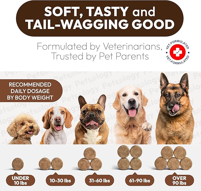 (2 Pack) Turkey Tail Mushroom for Dogs - 340 Chews - Lion’s Mane - Shiitake - Reishi - Buddy Immune Support Guard - Mushroom Supplement for Dogs with Glucosamine, Health Vitamins Multivitamin