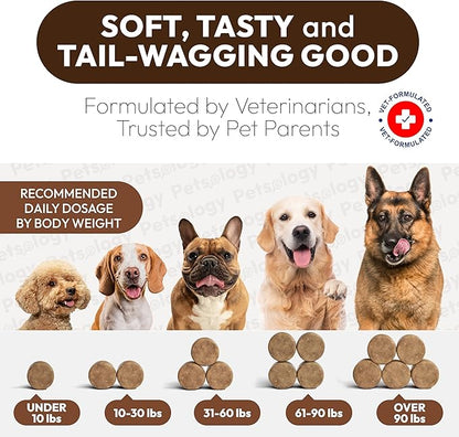 (2 Pack) Turkey Tail Mushroom for Dogs - 340 Chews - Lion’s Mane - Shiitake - Reishi - Buddy Immune Support Guard - Mushroom Supplement for Dogs with Glucosamine, Health Vitamins Multivitamin