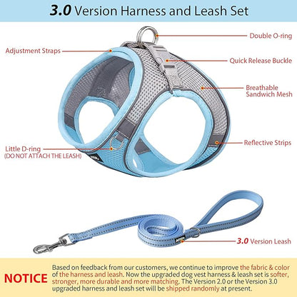 AIITLE Easy Walk Dog Harness and Leash Set - Pet Supply No Pull, Step in Adjustable Dog Harness with Padded Vest, Dog Harness No Choke Over, Easy to Put on Medium Dogs Blue L
