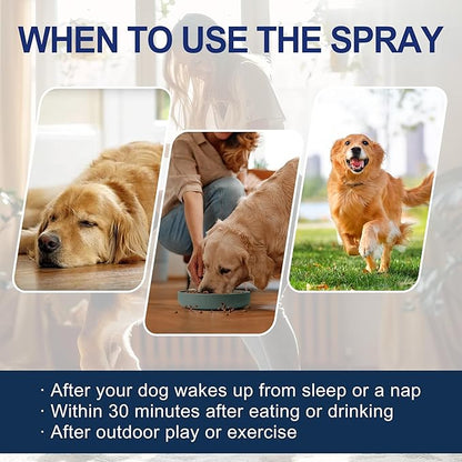 Potty Training Spray for Dogs – 5 fl oz /150ml Dog Pee Training Aid for Puppies & Adults Dogs– Helps Guide Dog to Pee Pads or Designated Areas – Safe Plant-Based Attractant for Indoor & Outdoor Use