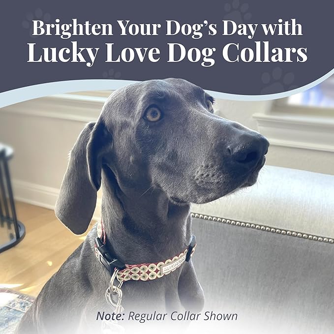 Lucky Love Dog Martingale Dog Collar - Adjustable, No-Slip, Durable, & Soft Webbing Collar for Male and Female Dogs Ideal for Training & Walking - in Unique Pongo Pattern, Medium Size