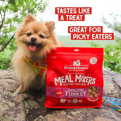 Stella & Chewy's Freeze-Dried Raw Tantalizing Turkey Meal Mixers- Dog Food Topper and Mixer - Made with 95% Cage-Free Turkey, Organs & Bone - Perfect for Picky Eaters - Grain-Free - 1 oz (Pack of 2)