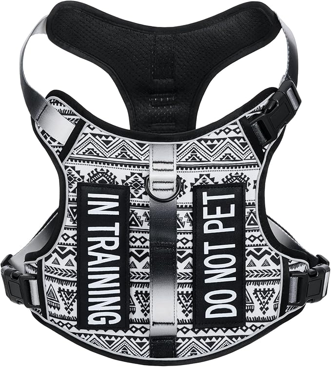 Light Dog Harness for Small Sized Dog Breeds, No-Pull Pet Harness with 2 Leash Clips, Adjustable Soft Padded Dog Vest, Reflective Pet Oxford Vest, Puggle, Terriers, Beagle, Black Ethnic S
