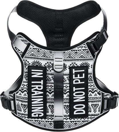 Light Dog Harness for Small Sized Dog Breeds, No-Pull Pet Harness with 2 Leash Clips, Adjustable Soft Padded Dog Vest, Reflective Pet Oxford Vest, Puggle, Terriers, Beagle, Black Ethnic S
