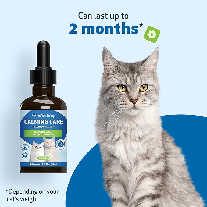 Pet Wellbeing Calming Care for Cats - Vet-Formulated Behavioral Support - Feline Stress Support, Emotional Wellness - Ashwagandha & Holy Basil Adaptogen - Holistic Cat Supplement 2 oz (59ml)