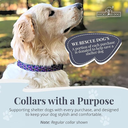 Lucky Love Dog Martingale Dog Collar - Adjustable, No-Slip, Durable, & Soft Webbing Collar for Male and Female Dogs Ideal for Training & Walking - Primrose, Medium