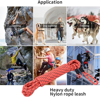 Long Dog Leash for Training 30Ft-Reflective Nylon Rope with Swivel Hook-Recall Agility Lead for Large Small Medium Dogs Outside Walking Hiking-Orange Diam 1/2"