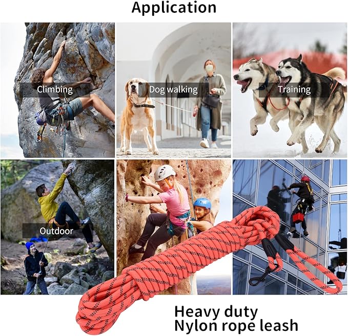 Long Dog Leash for Training 50Ft-Reflective Nylon Rope with Swivel Hook-Recall Agility Lead for Large Small Medium Dogs Outside Walking Hiking-Orange