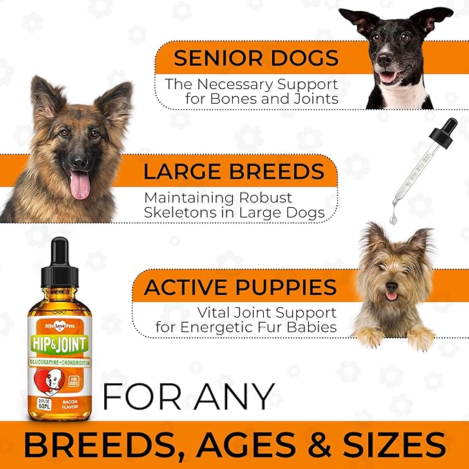 Glucosamine for Dogs + Chondroitinin in Liquid Form – Hip & Joint Supplement for Dogs to Care for Muscular System – Effective Dog Health Supplies with Natural Bacon Flavor – All Breeds Support – 2 oz
