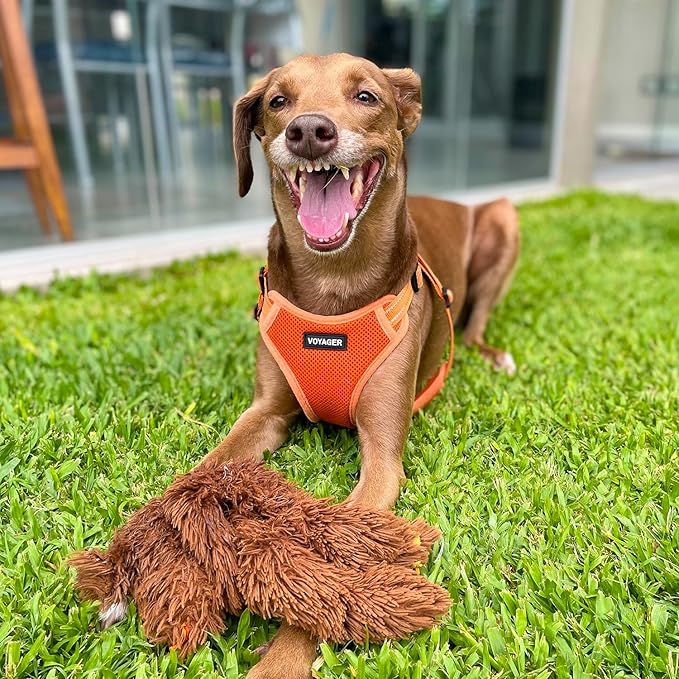 Best Pet Supplies Voyager Adjustable Step-in Flex Breathable Mesh Dog Harness for Small Medium Large Dogs Leash Set (Orange), L