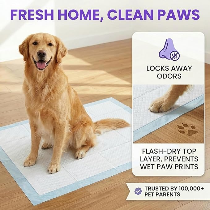 BV Puppy Pads XL 40 Count 34"x28" - Leak-Proof Pee Pads for Dogs with 6-Layer Design, Rapid Dry Sheet & Attractant - Dog Pad Extra Large with Odor Control - Perfect for Big Dogs & Indoor Use